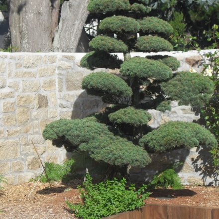 création de jardin Pontivy (Morbihan 56)