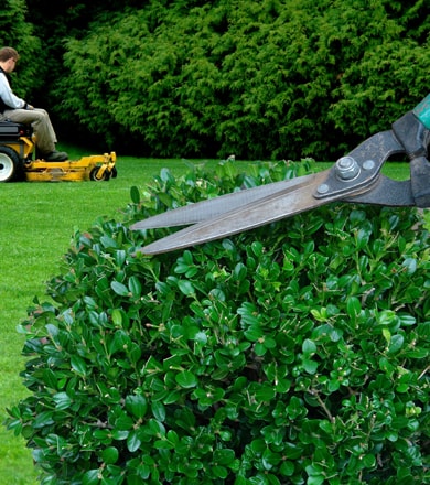 Entretien de jardins et entretien Pontivy